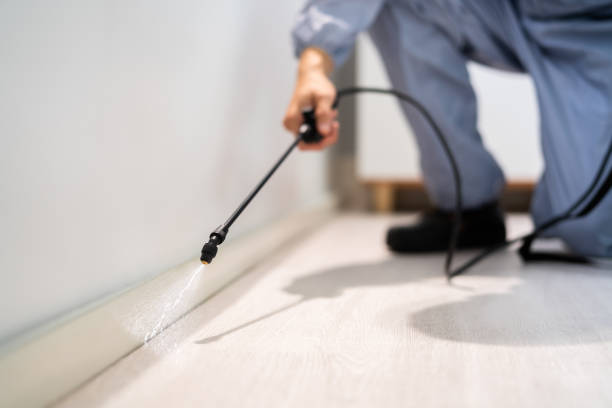 Licensed Cockroach Control service in McPherson County County, KS - Nex Pest Control